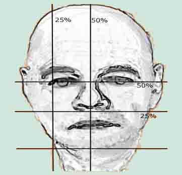 Proportionen des Gesichts